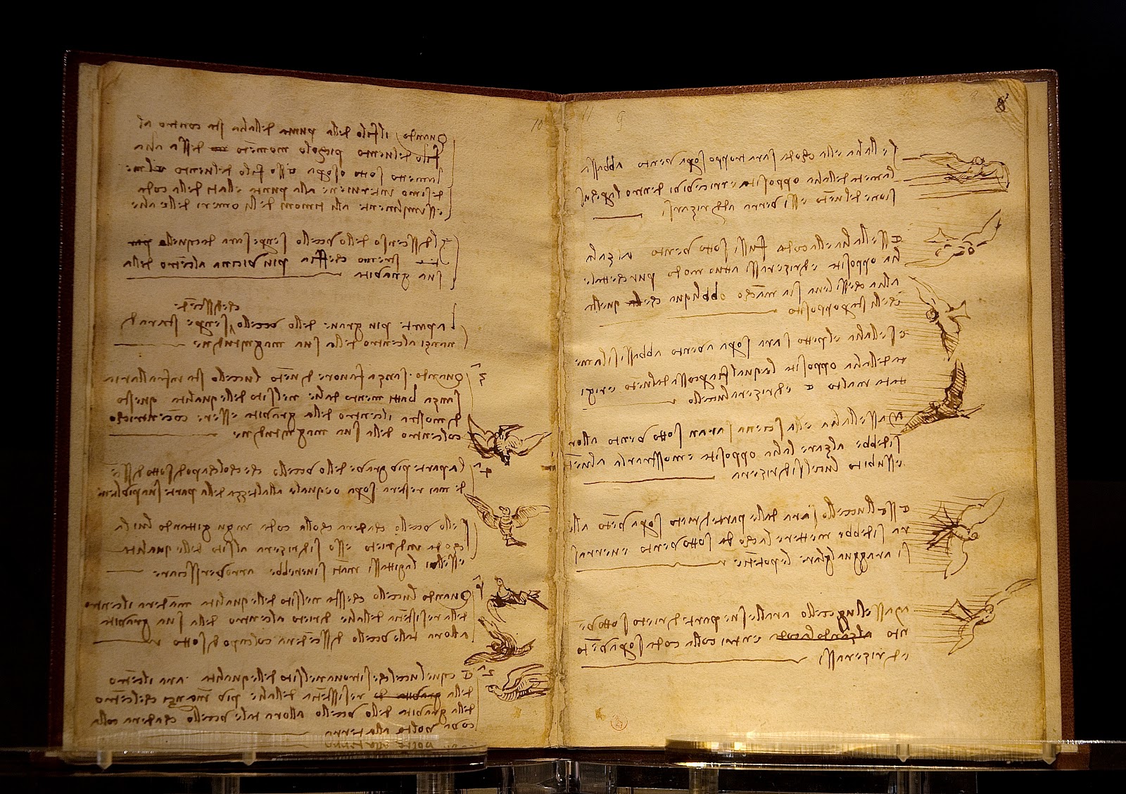 Biblioteche e bibliofilia - Episodio 2 - La bibliomania e il famoso "Caso del Conte Guglielmo Libri Carucci dalla Sommaja"